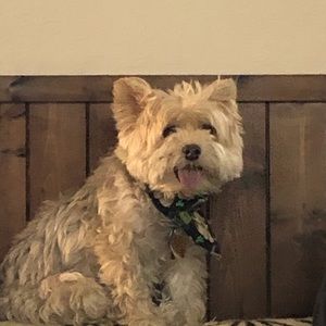 Meet your Posher, Eileen